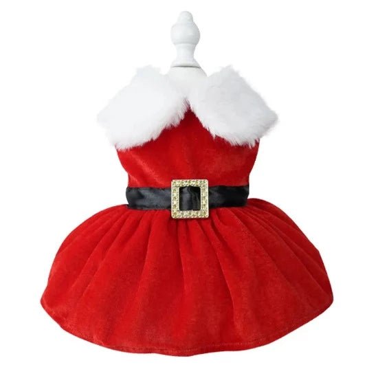 Santarina Pet Dress - Always Whiskered