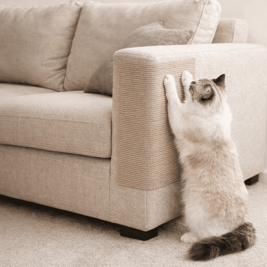 Self - Adhesive Cat Scratcher Mat - Always Whiskered