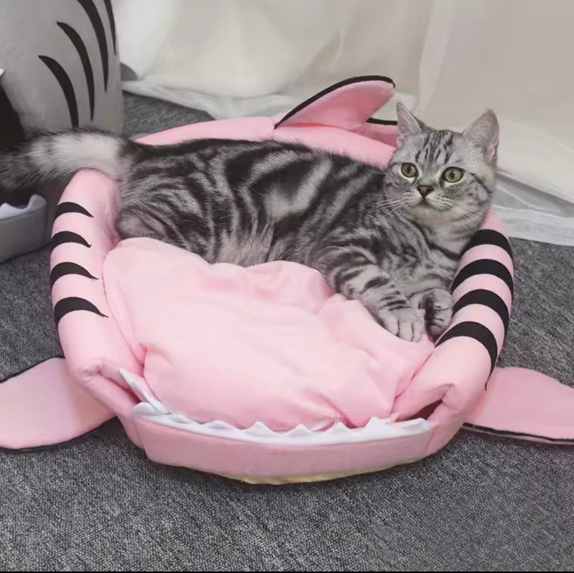 Shark Bed - Always Whiskered