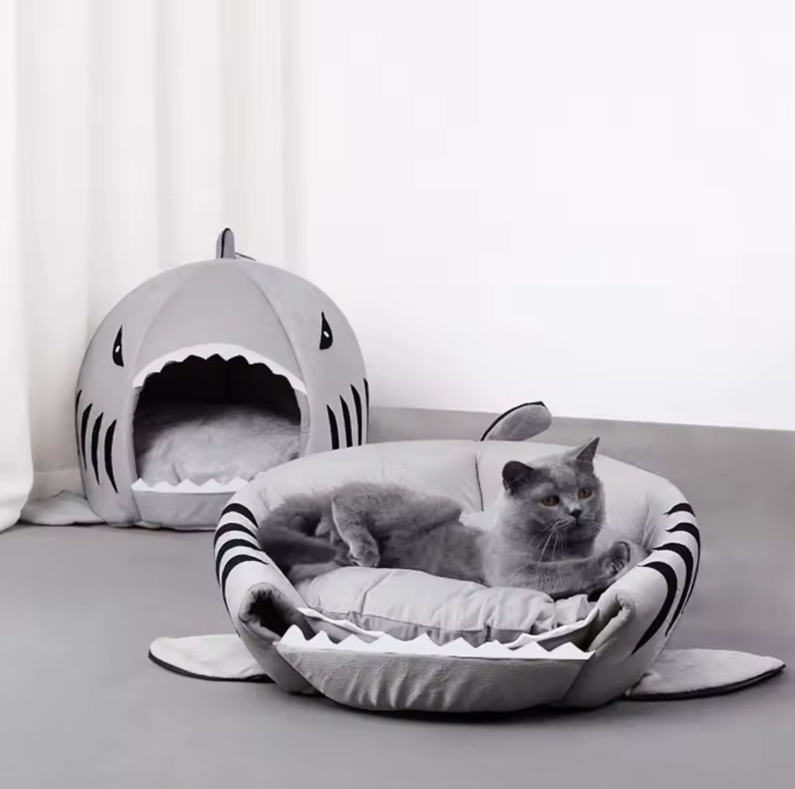 Shark Bed - Always Whiskered