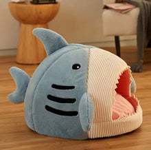 Shark Pet Bed - Always Whiskered