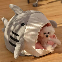 Shark Pet Bed - Always Whiskered