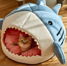 Shark Pet Bed - Always Whiskered