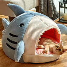 Shark Pet Bed - Always Whiskered