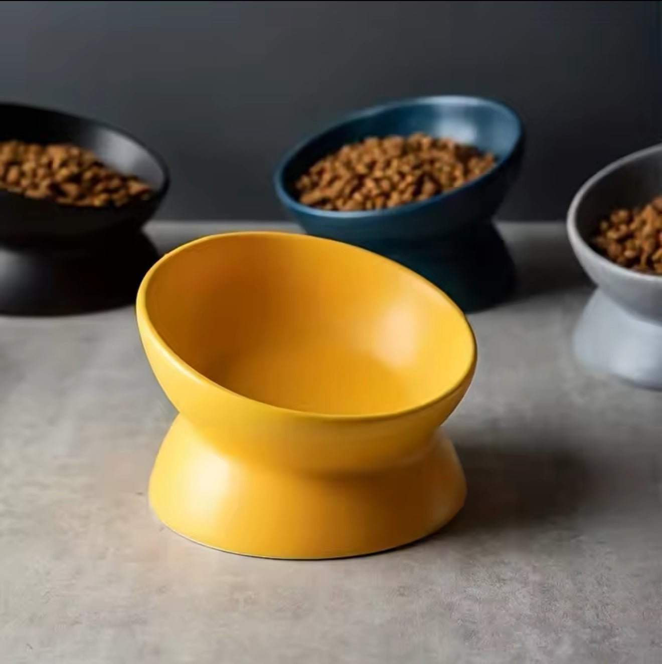 Slanted Pet Bowl - Always Whiskered