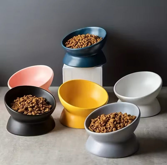 Slanted Pet Bowl - Always Whiskered