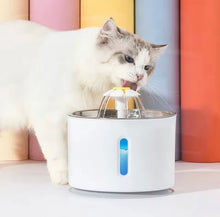 Slurpy - licious Water Fountain - Always Whiskered