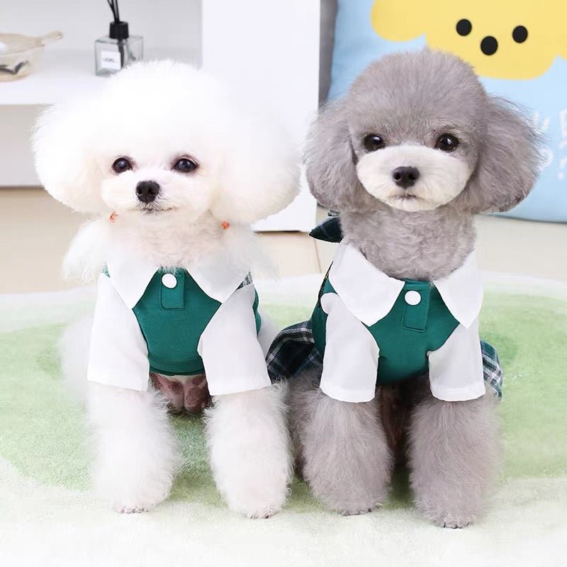 Smart Aleck Pet School Uniform - Always Whiskered