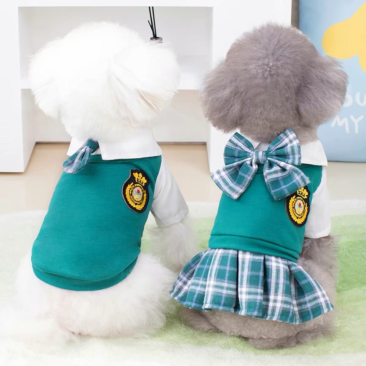 Smart Aleck Pet School Uniform - Always Whiskered