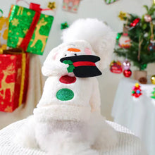 Snowman Costume - Always Whiskered