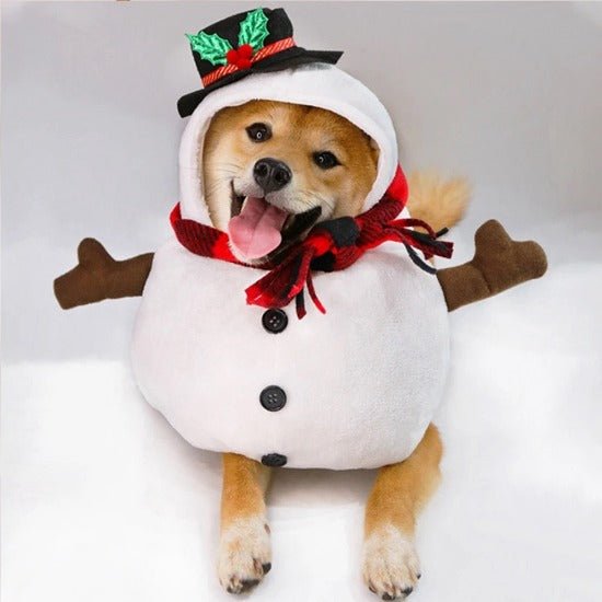 Snowman Costume - Always Whiskered