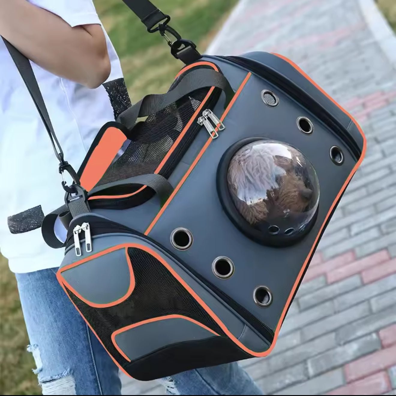 Sporty Pet Carrying Bag with viewing bubble - Always Whiskered