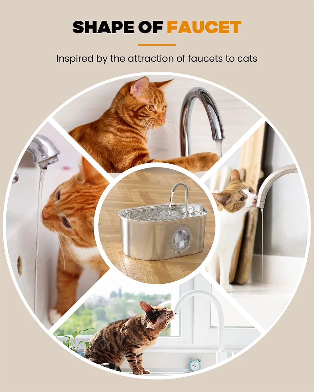 Stainless Steel Pet Faucet Fountain - Always Whiskered