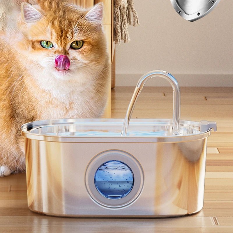 Stainless Steel Pet Faucet Fountain - Always Whiskered