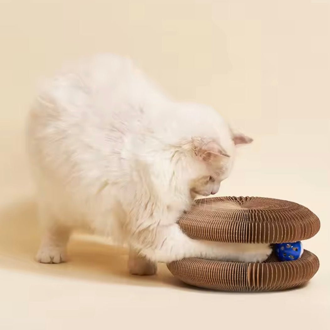 Stretch-It Magic Cardboard Toy - Always Whiskered