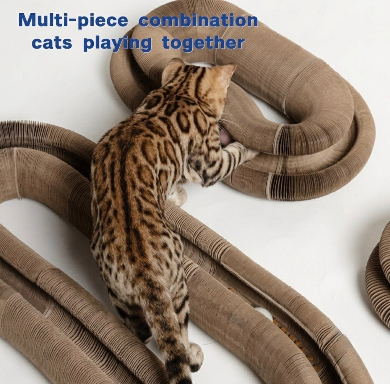 Stretch-It Magic Cardboard Toy - Always Whiskered