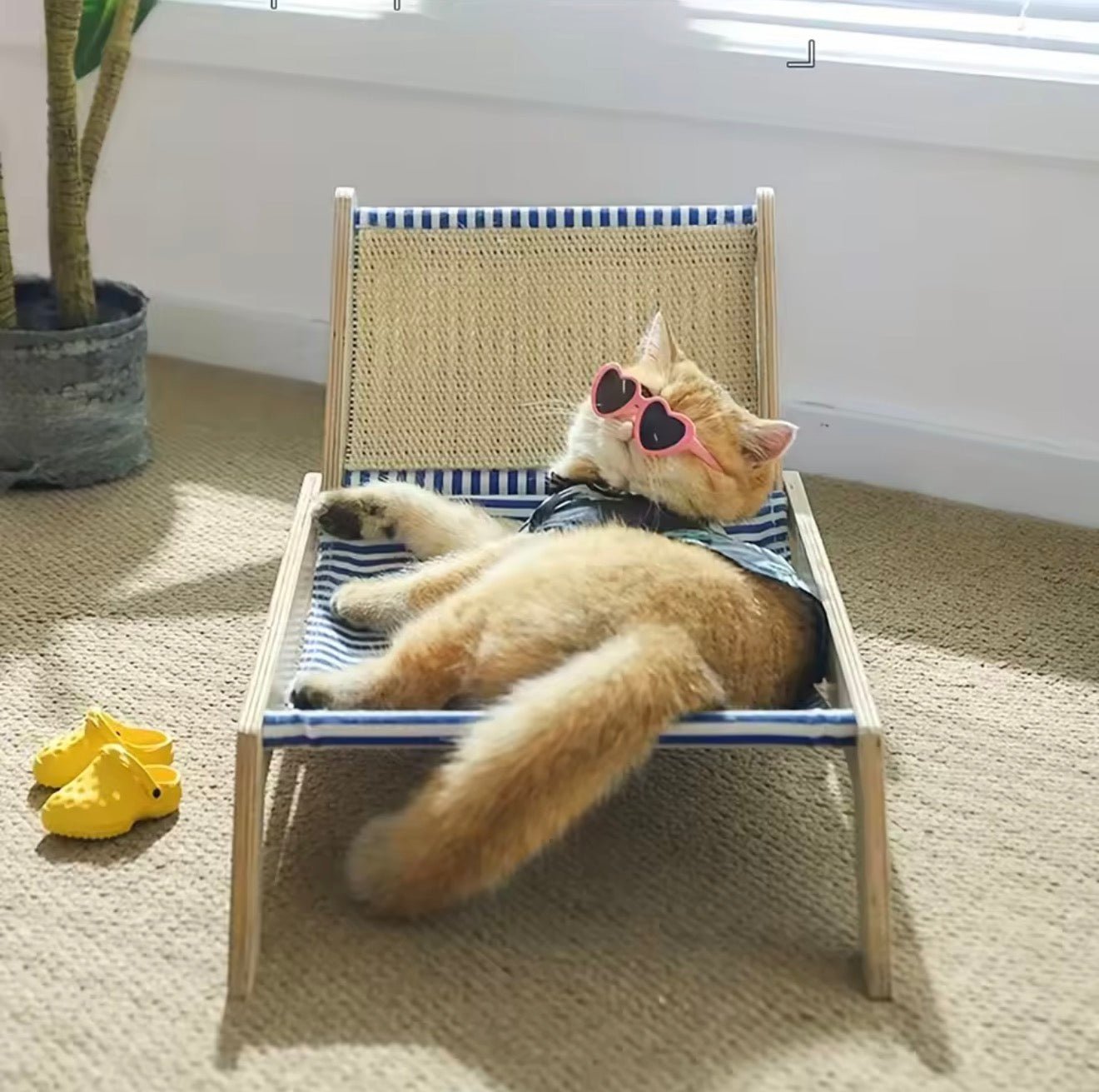 SunnyPaws Pet Lounger - Always Whiskered