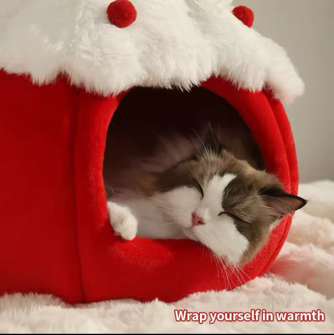 Sweet Cake Pet Bed - Always Whiskered