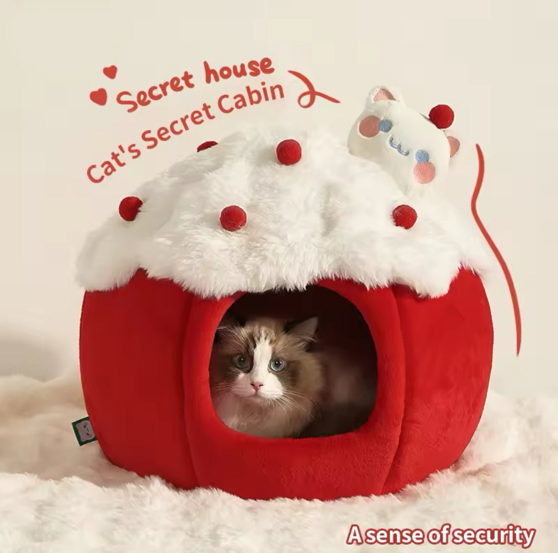 Sweet Cake Pet Bed - Always Whiskered