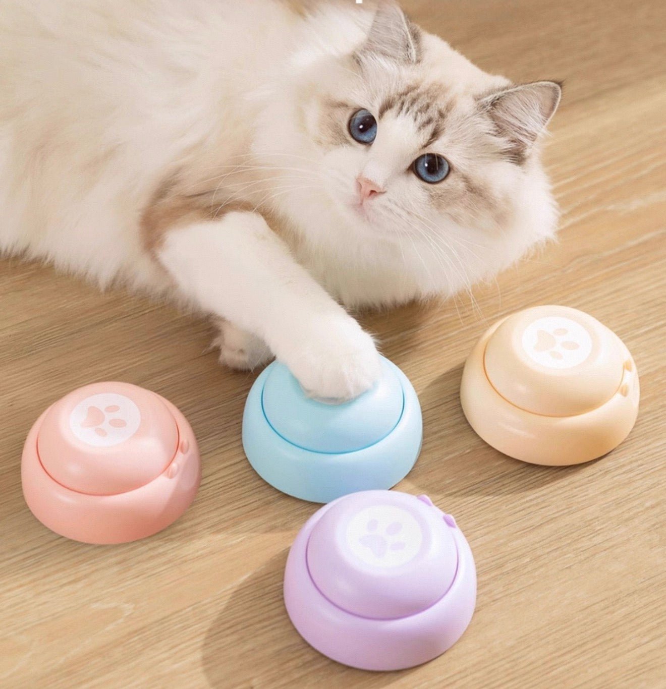 Talk - To - Me Pet Buttons - Always Whiskered