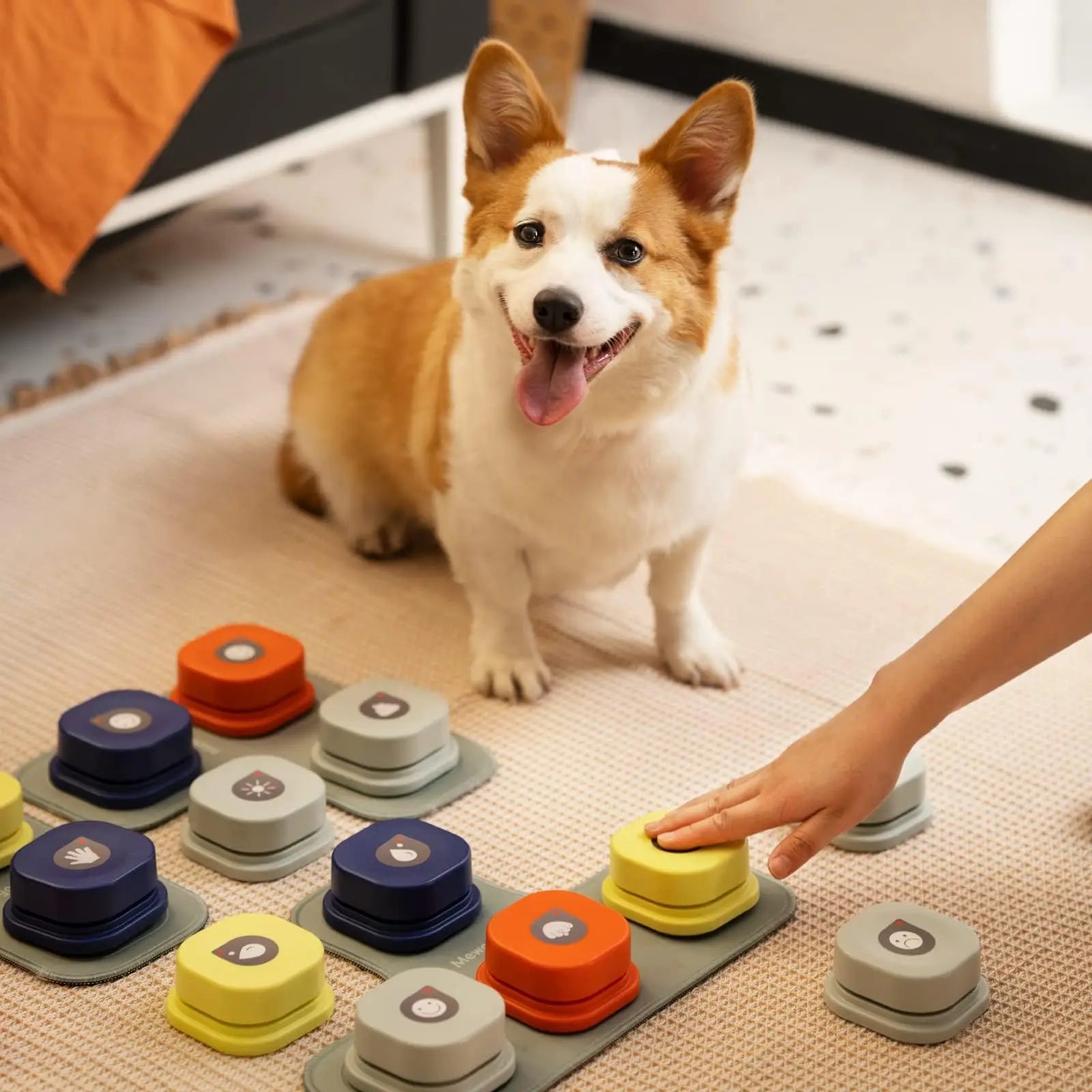Recordable Pet Training Buttons - Always Whiskered