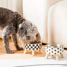 The Mod Pet Bowls - Always Whiskered