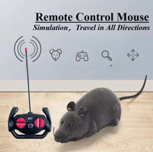 The Mouse R/C Toy - Always Whiskered