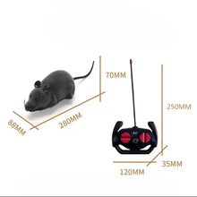 The Mouse R/C Toy - Always Whiskered