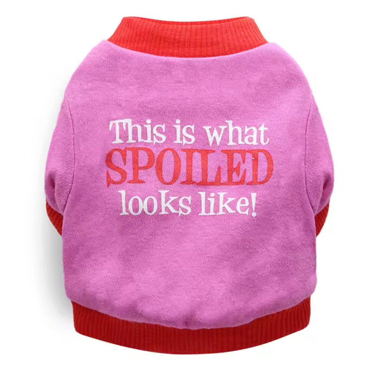 This Is What Spoiled Looks Like Pet Shirt - Always Whiskered