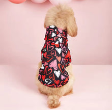 Valentine's Shirt & Dress - Always Whiskered