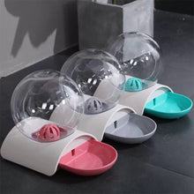 Water Globe Pet Bowl - Always Whiskered