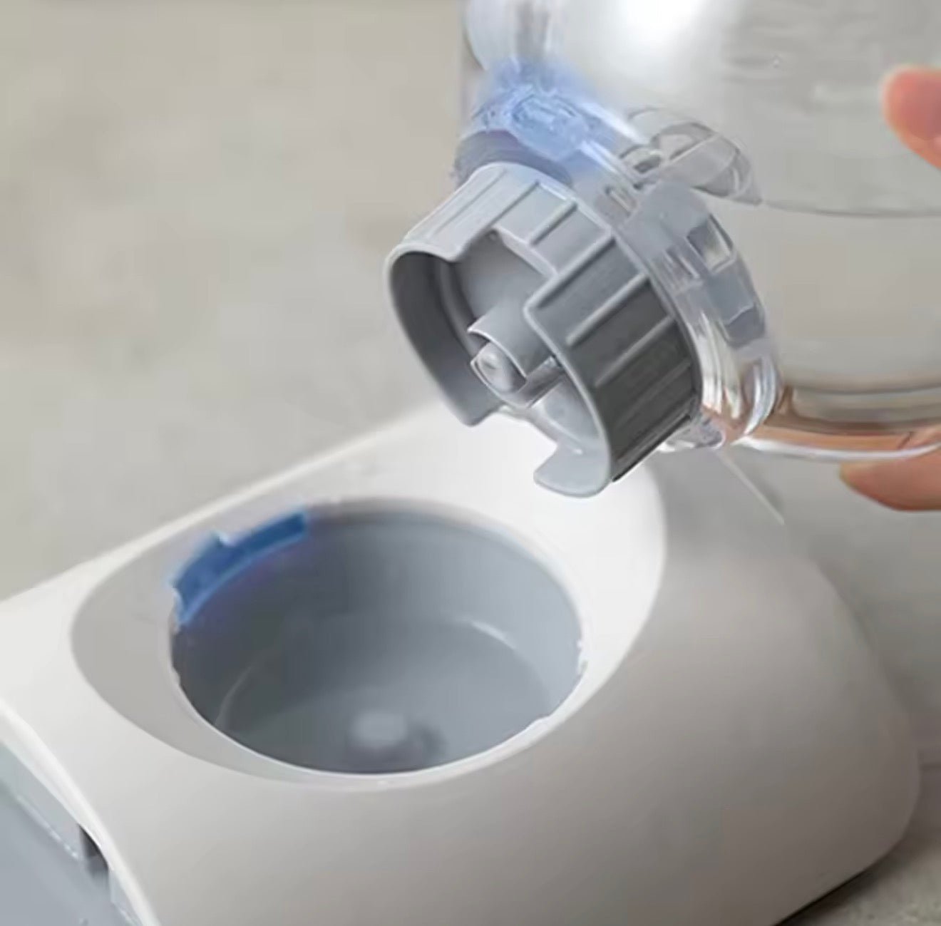 Water Globe Pet Bowl - Always Whiskered