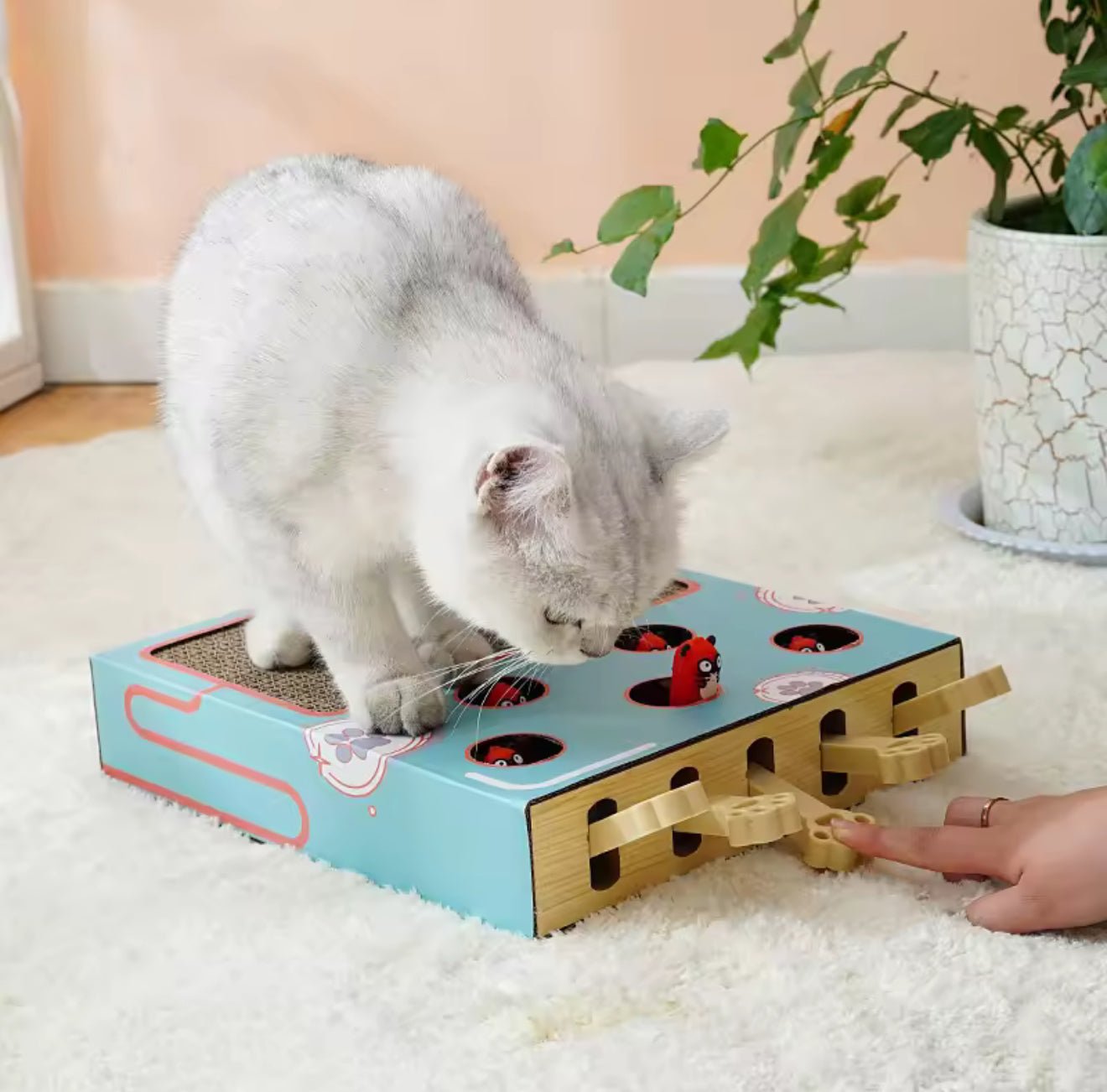 Whack - A - Mole Scratcher Toy - Always Whiskered