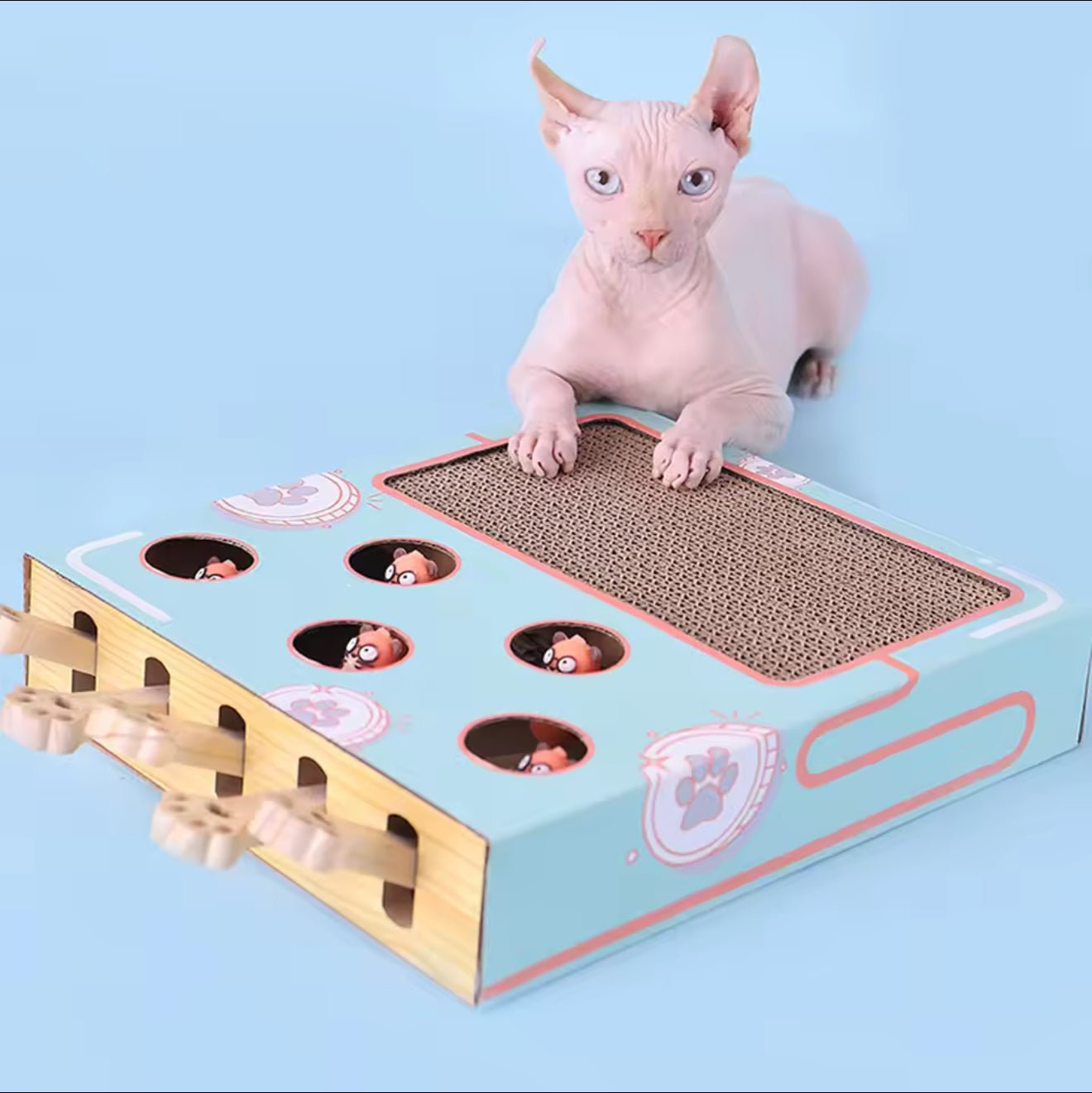 Whack - A - Mole Scratcher Toy - Always Whiskered