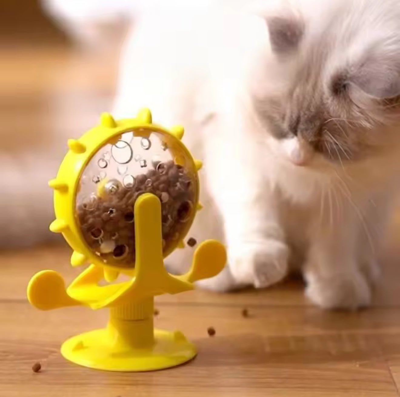 Wheel of Treats Toy - Always Whiskered