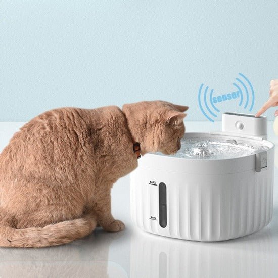 Wireless Smart Pet Fountain - Always Whiskered