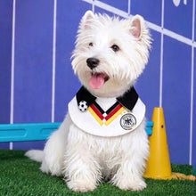 World Football Pet Bib - Always Whiskered