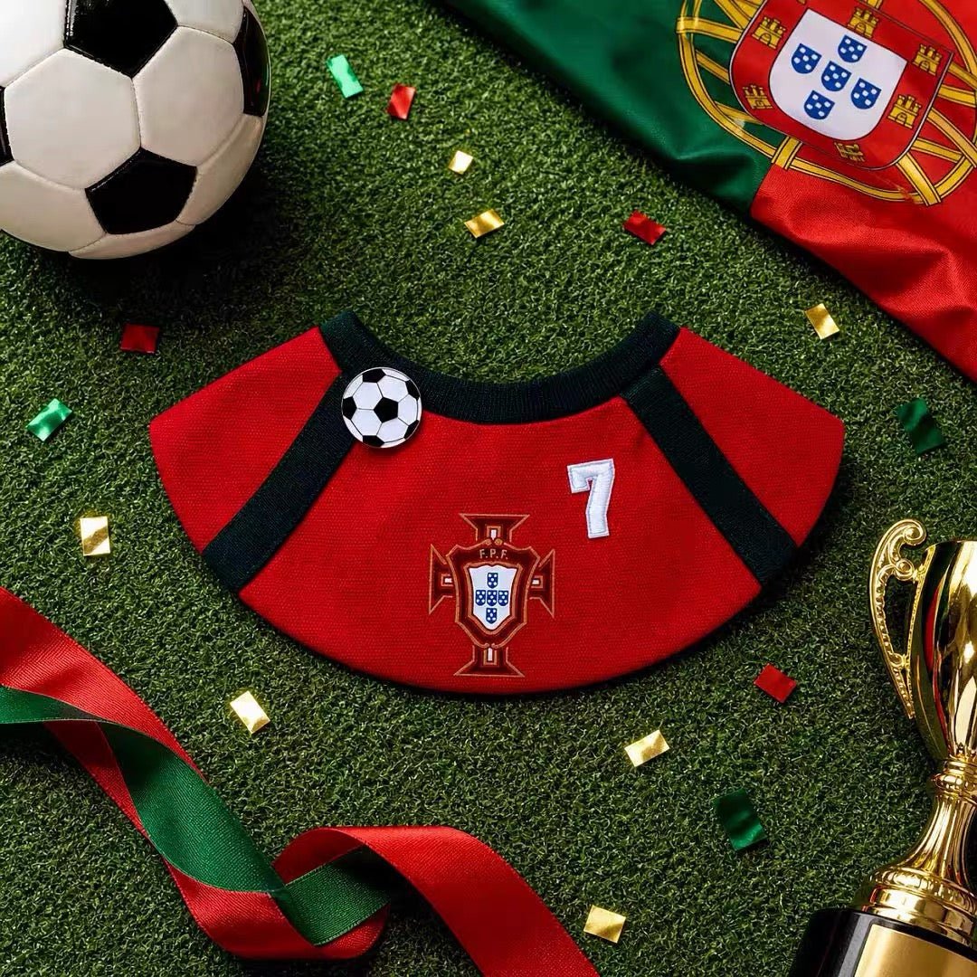 World Football Pet Bib - Always Whiskered