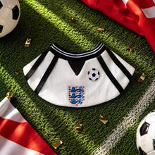World Football Pet Bib - Always Whiskered