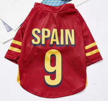World Football Pet Jersey - Always Whiskered