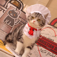 Pet Chef hat & bib costume - Always Whiskered 