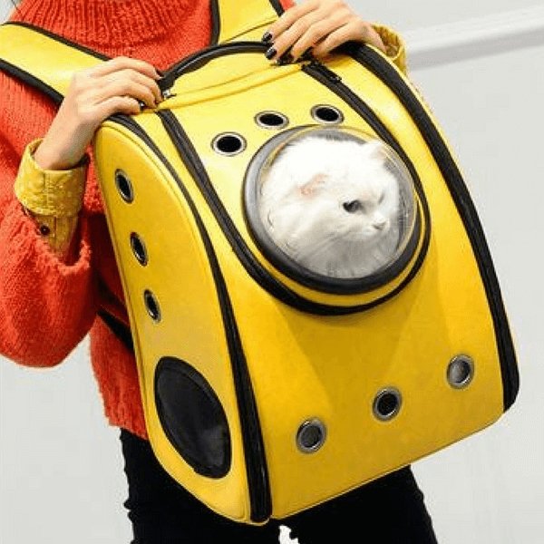 Cat Backpack Bubble Space Capsule Carrier Always Whiskered