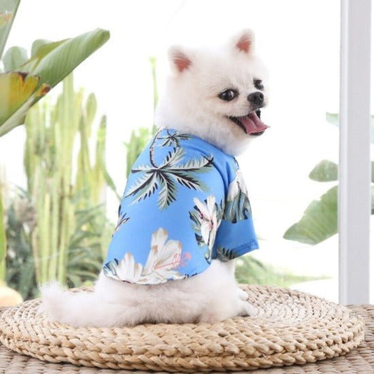 Aloha Pet Shirt - Always Whiskered
