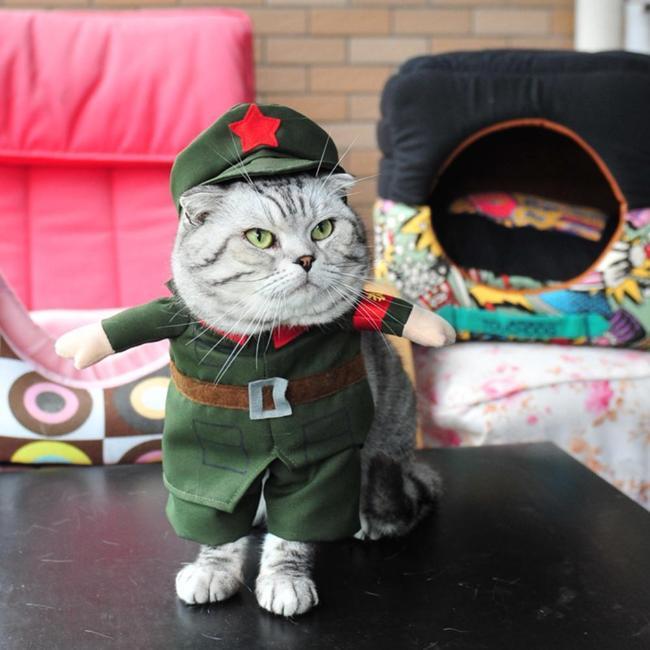Army Costume - Always Whiskered