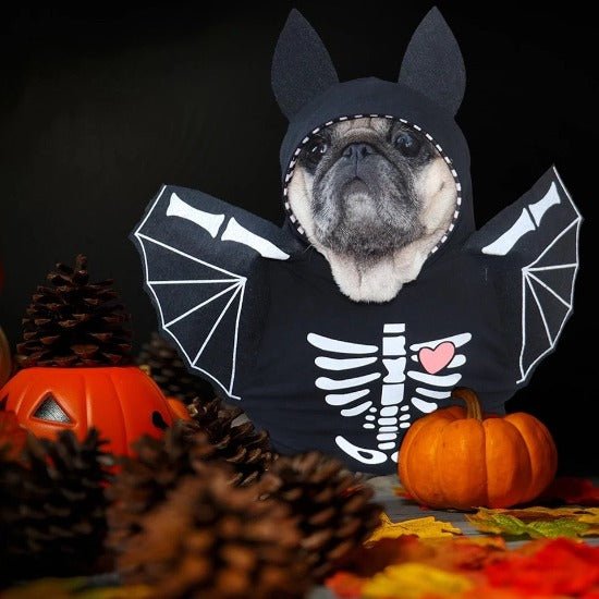 Batty Skeleton Costume - Always Whiskered