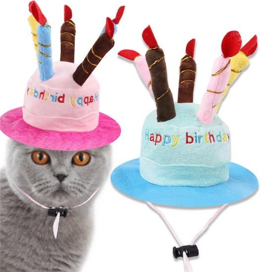 Birthday Hat - Always Whiskered