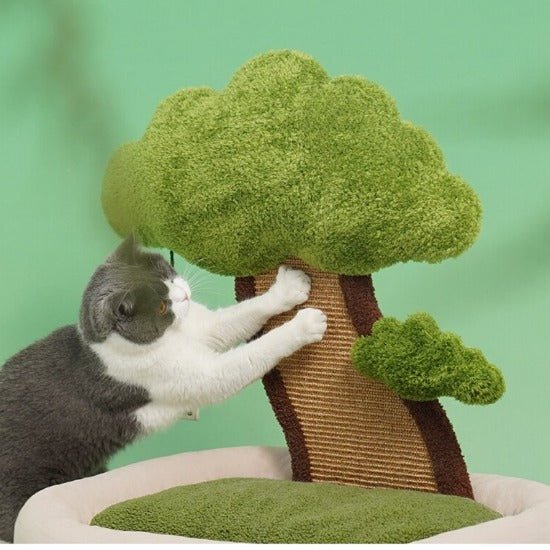 cat bonsai tree Bonsai Garden Cat Scratcher Bed – Always Whiskered
