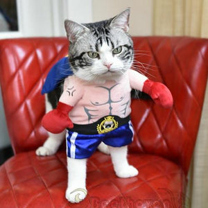 Boxer Pet Costume - Always Whiskered