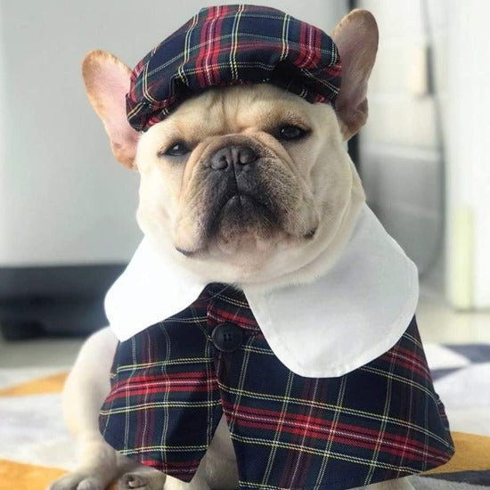 British Style Coat & Beret - Always Whiskered