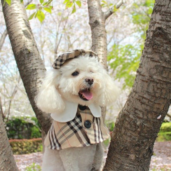 British Style Coat & Beret - Always Whiskered